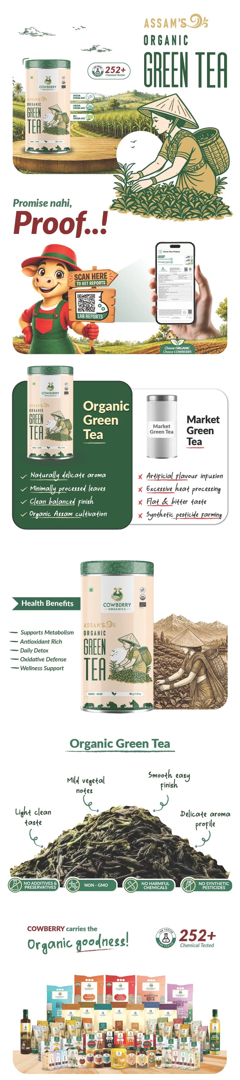 Organic Green Tea banner