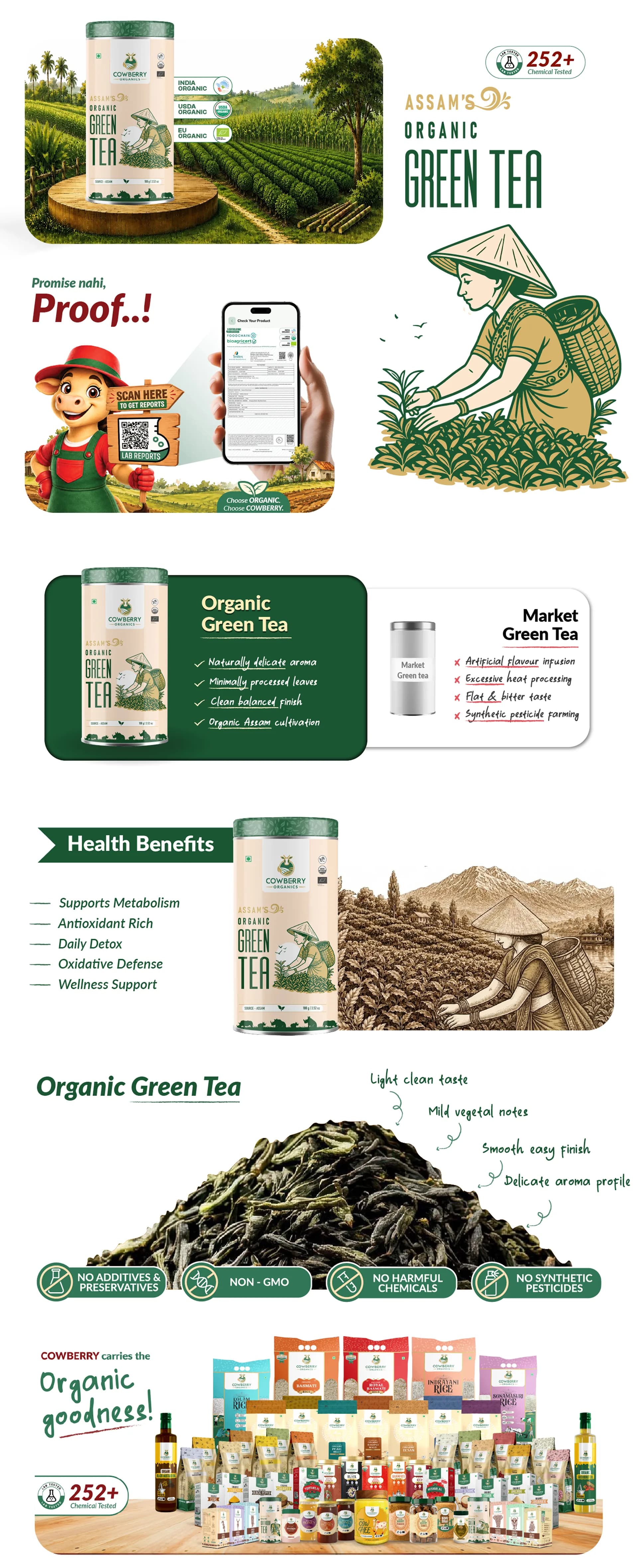 Organic Green Tea banner
