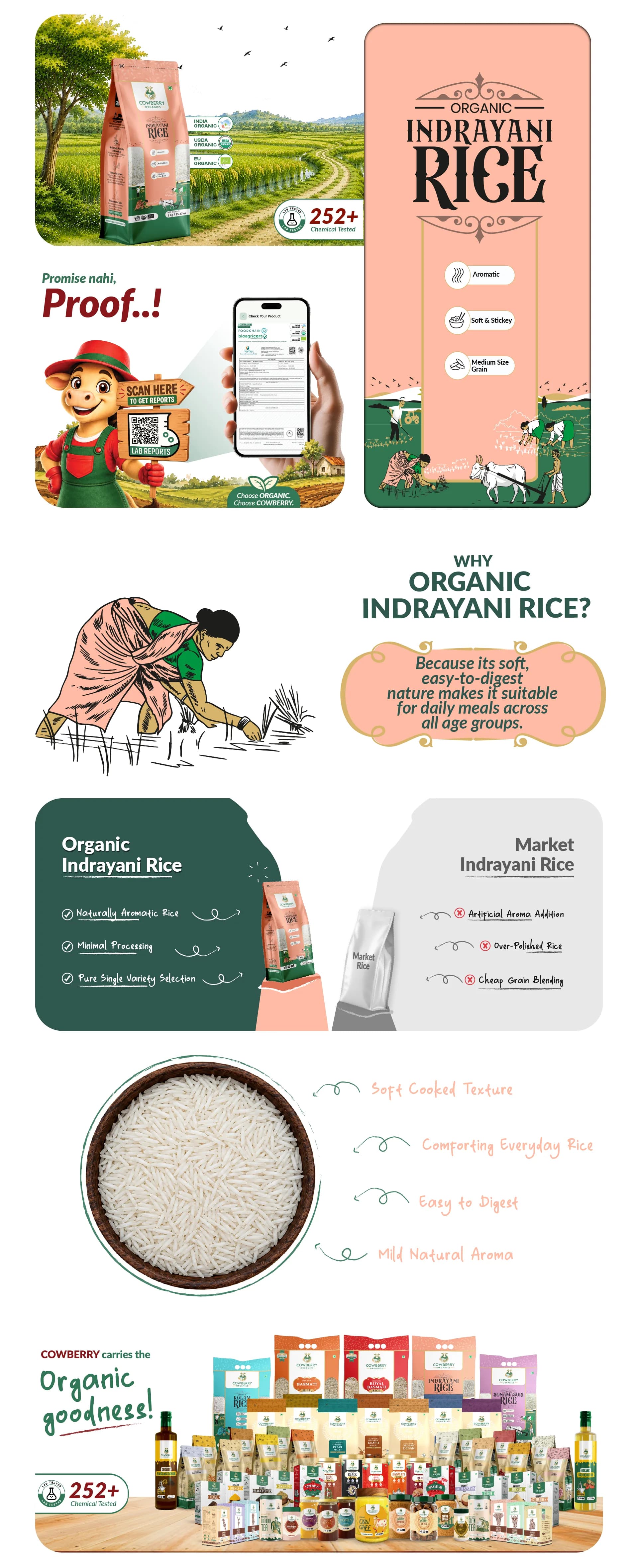 Organic Indrayani Rice banner