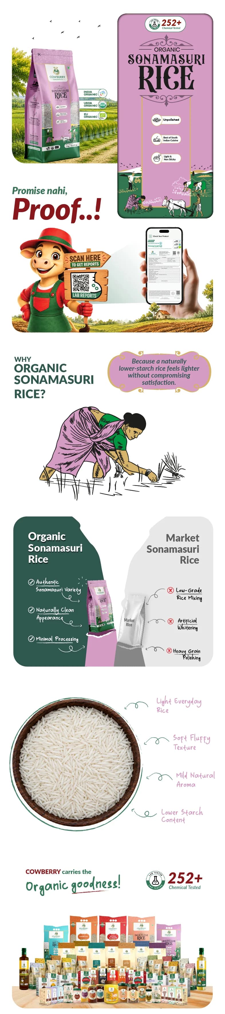 Organic Sonamasuri Rice banner