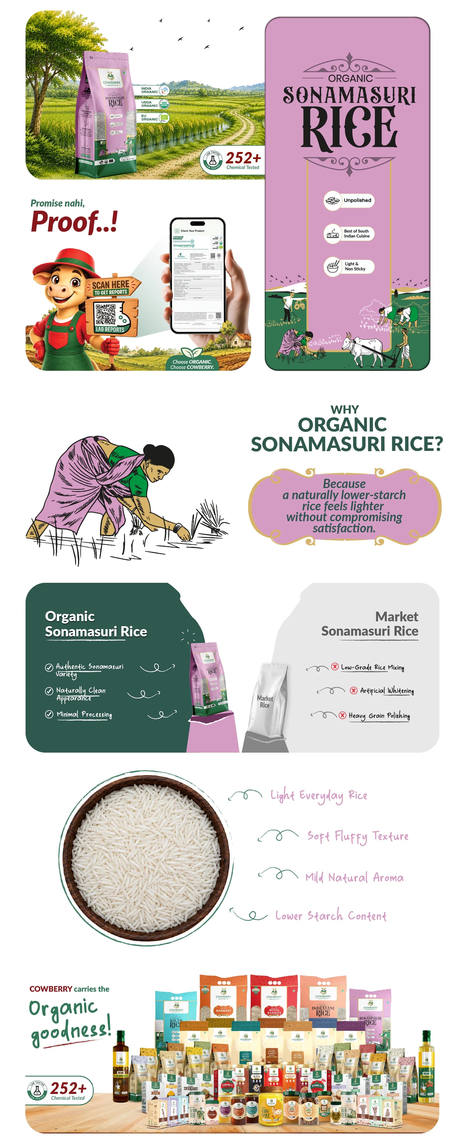 Organic Sonamasuri Rice banner
