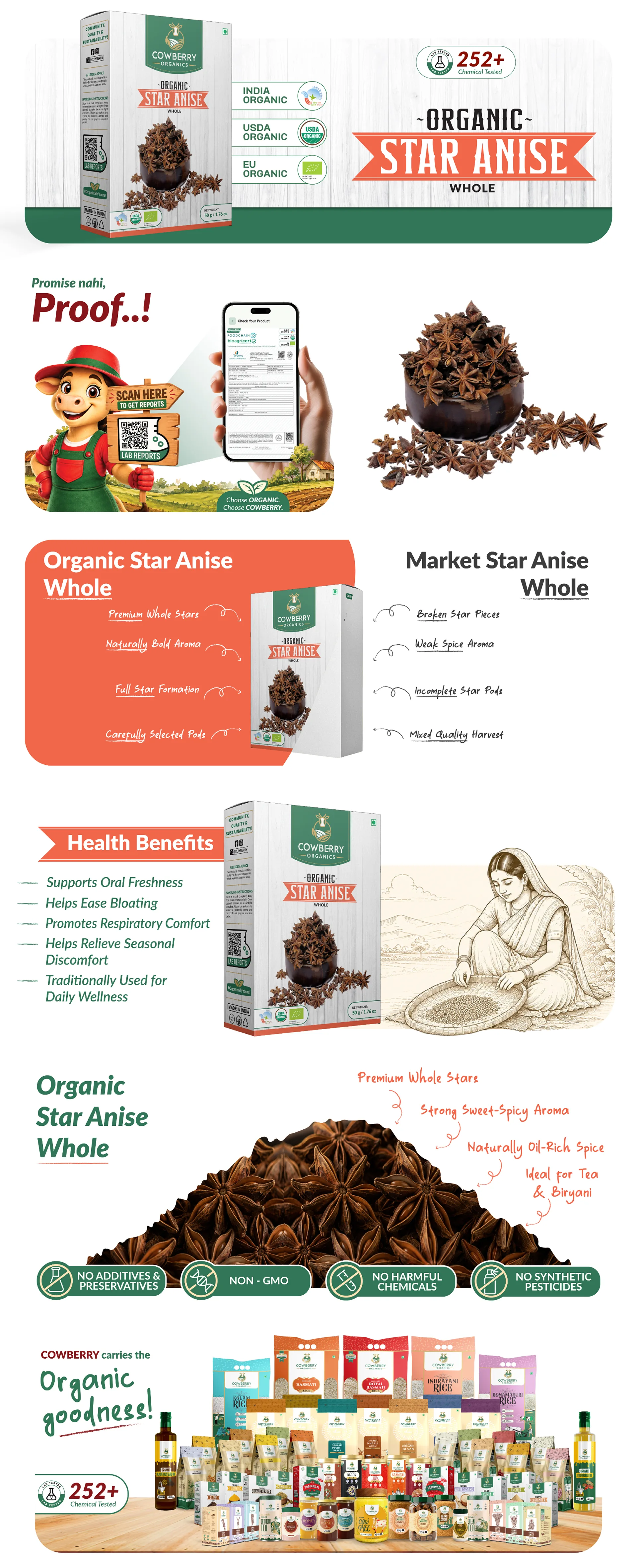 Organic Star Anise banner